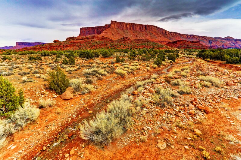 Red Rock Canyon Landscape — Dramatic, Afternoon, Photograph, Shrub