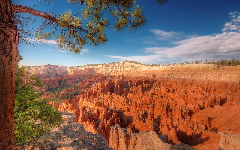 Red Rock Canyon Landscape — Orange, Dramatic, Afternoon, Photograph, Pine Tree