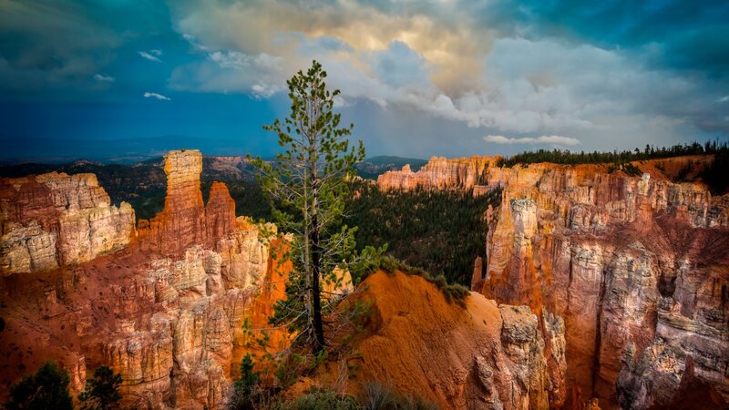 Red Rock Canyon Landscape — Orange, Dramatic, Sunset, Photograph, Tree