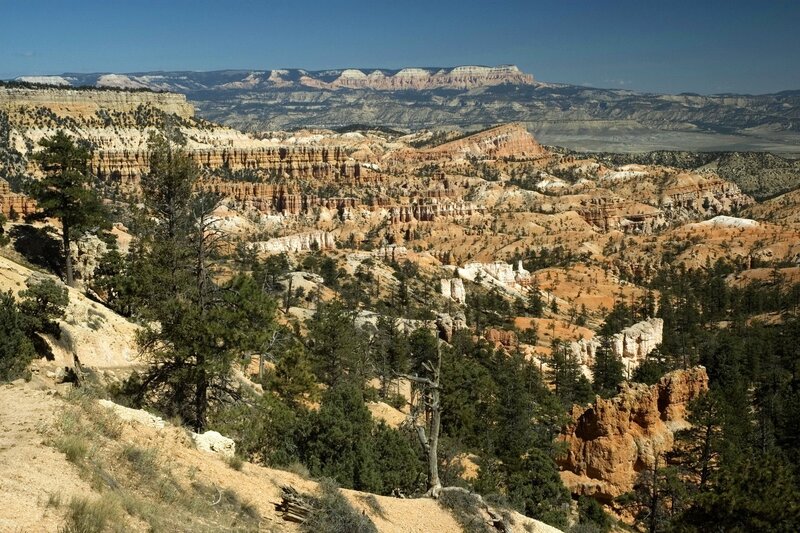 Red Rock Canyon Landscape — Orange, Serene, Afternoon, Photograph, Trees