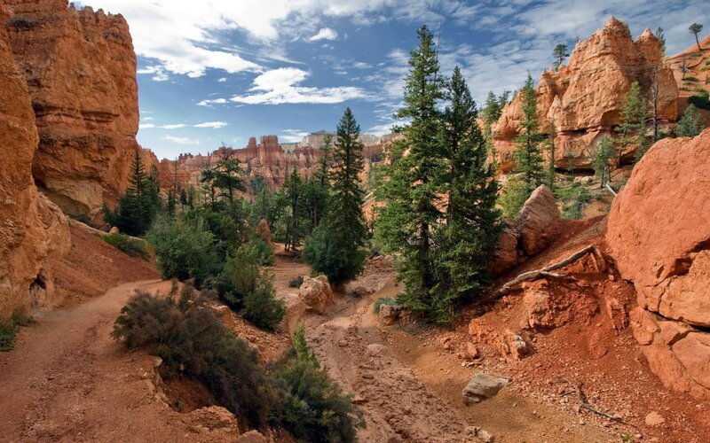 Red Rock Canyon Landscape — Serene, Afternoon, Photograph, Trees, Rock Formations, Sky