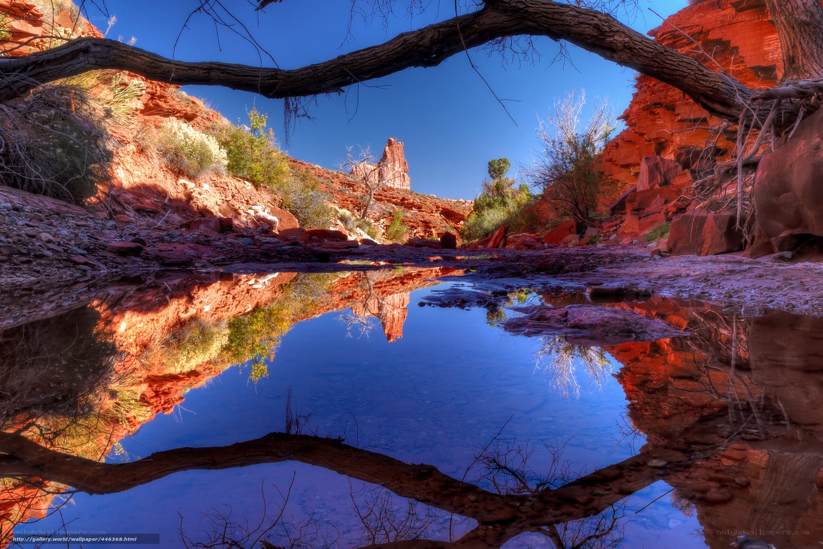 Red rock canyon reflection