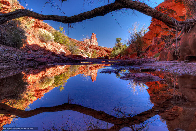 Red Rock Canyon Reflection — Blue, Serene, Afternoon, Photograph, Pool