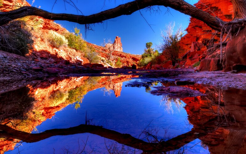 Red Rock Canyon Reflection — Blue, Serene