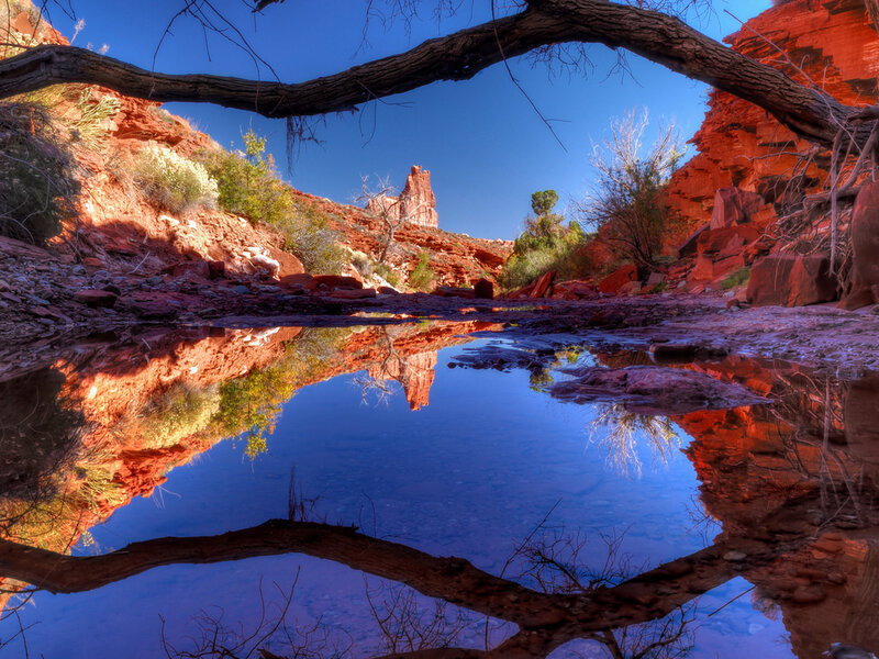 Red Rock Canyon Reflection — Blue