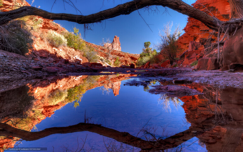 Red Rock Canyon Reflection — Serene