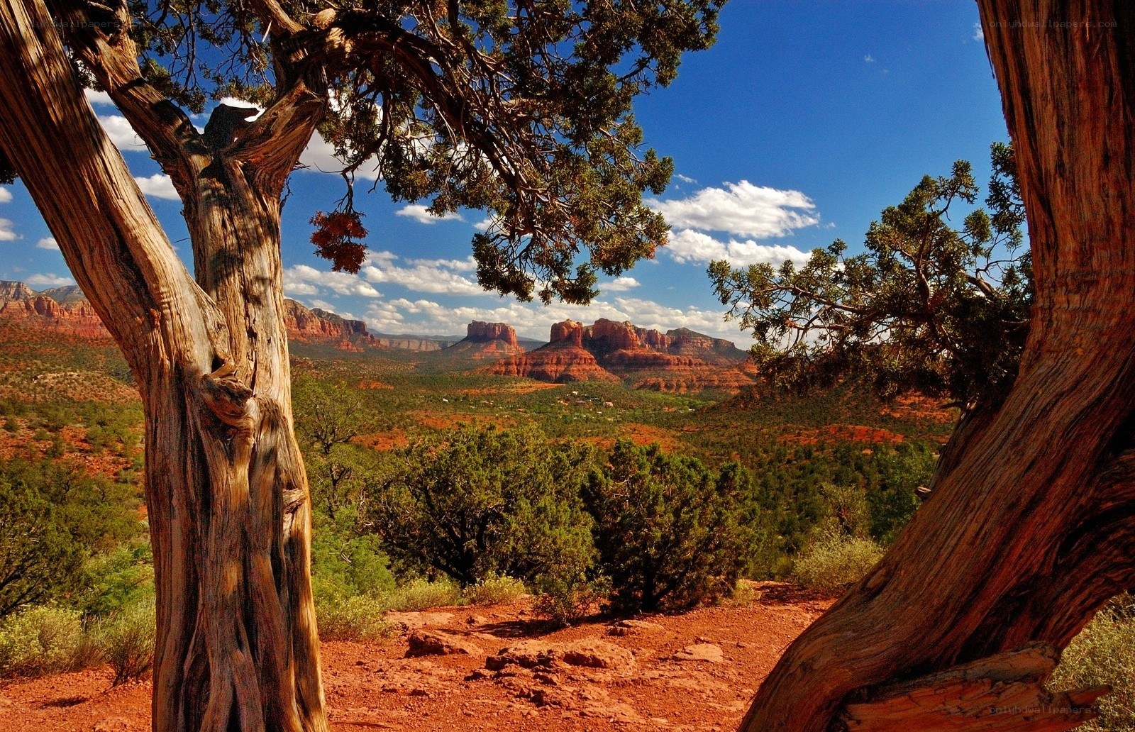 Red rock canyon vista