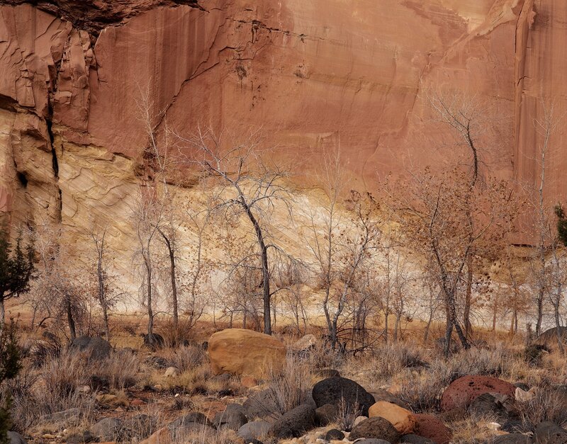 Red Rock Canyon Wall — Arid