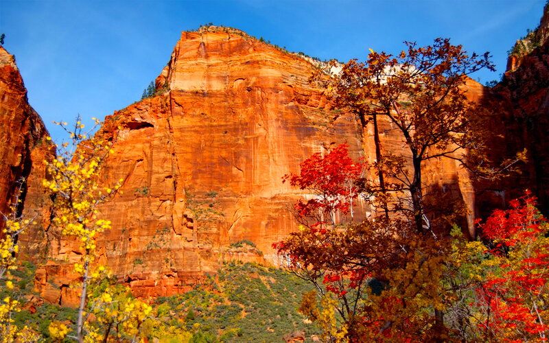 Red Rock Canyon Wall — Orange, Dramatic