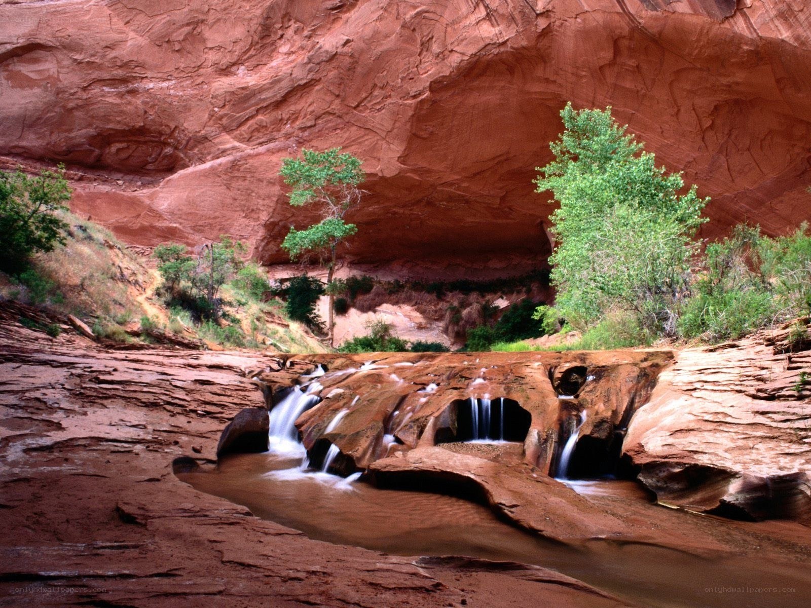 Red rock canyon waterfall