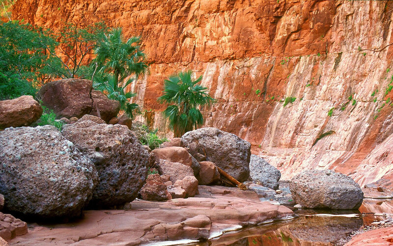 Red rock canyon with palm trees