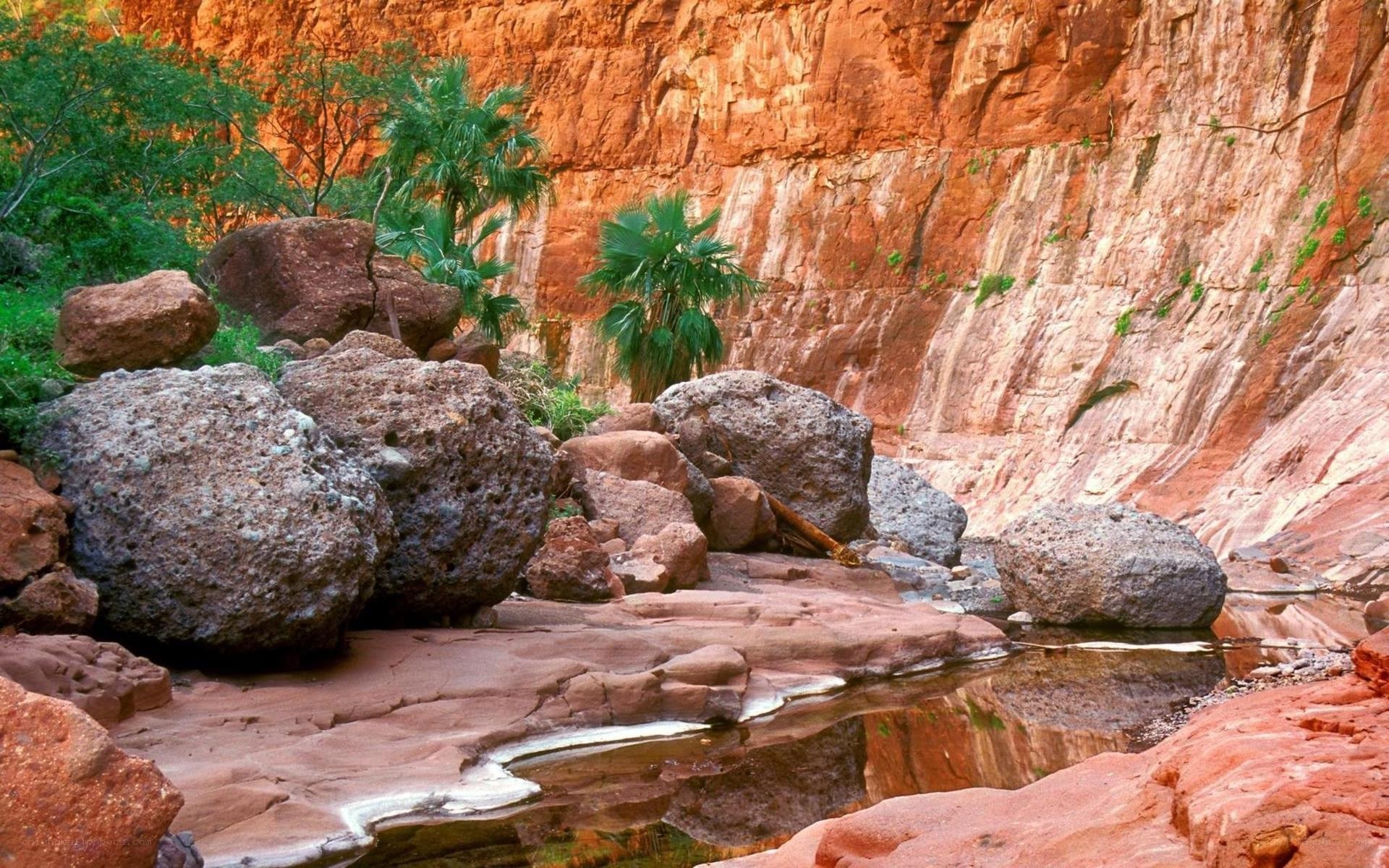 Red rock canyon with palm trees