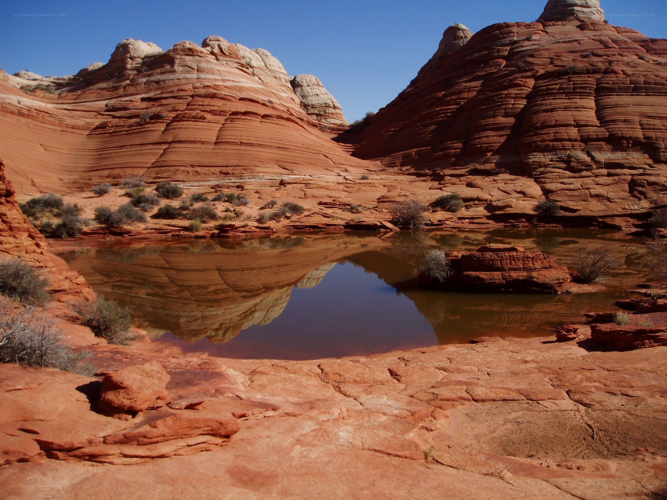 Red rock canyon with reflective pool