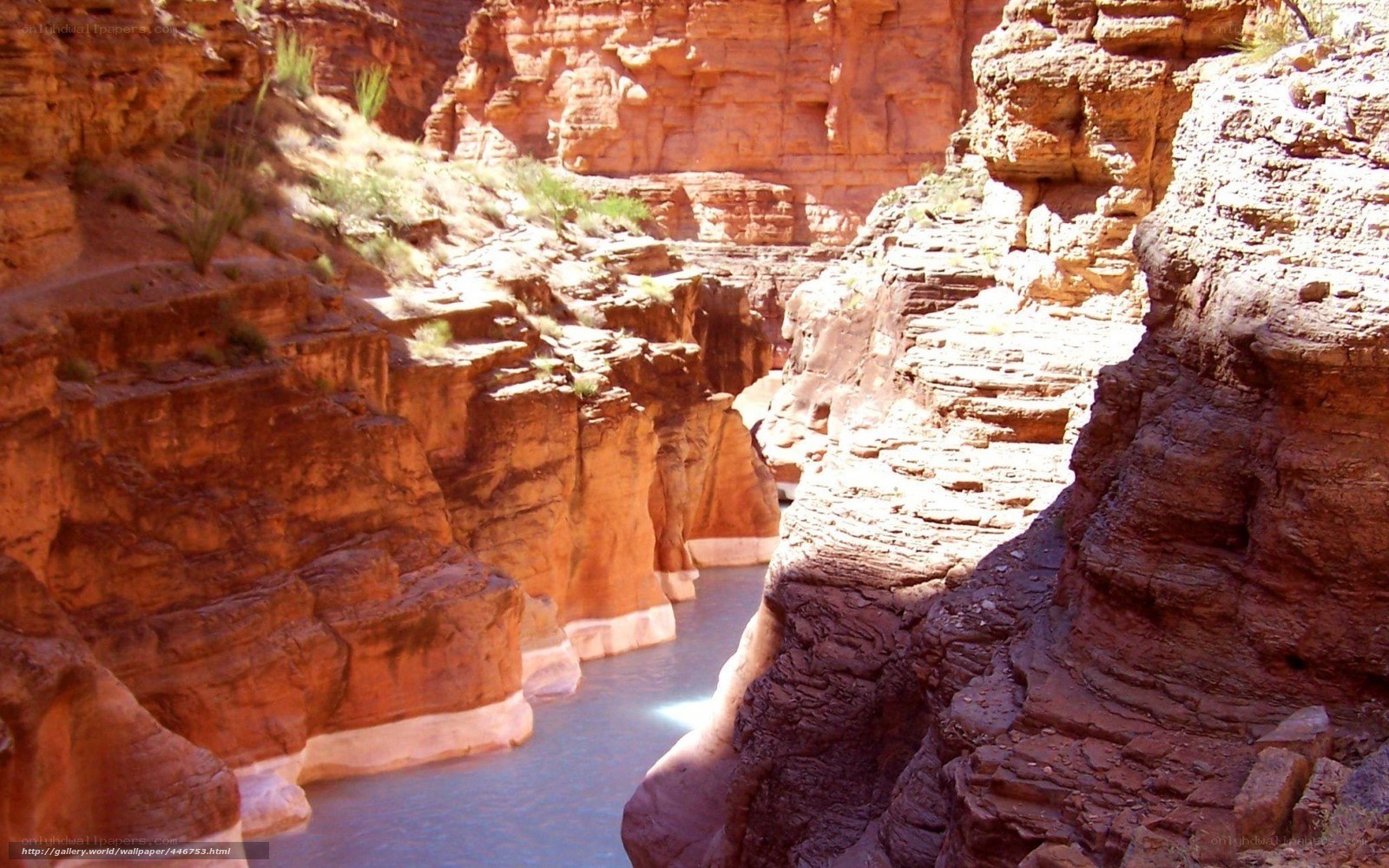 Red rock canyon with river