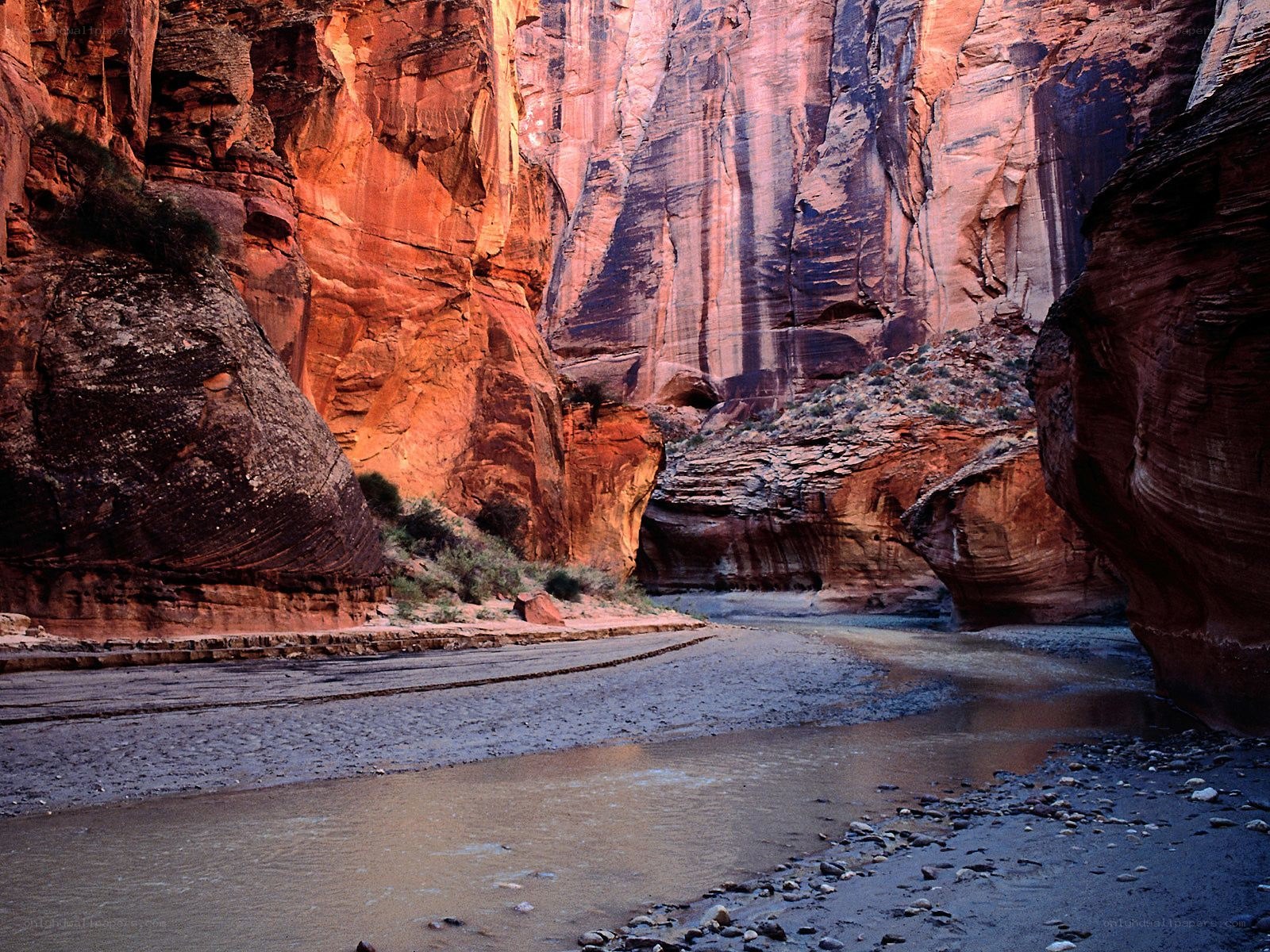 Red rock canyon with river