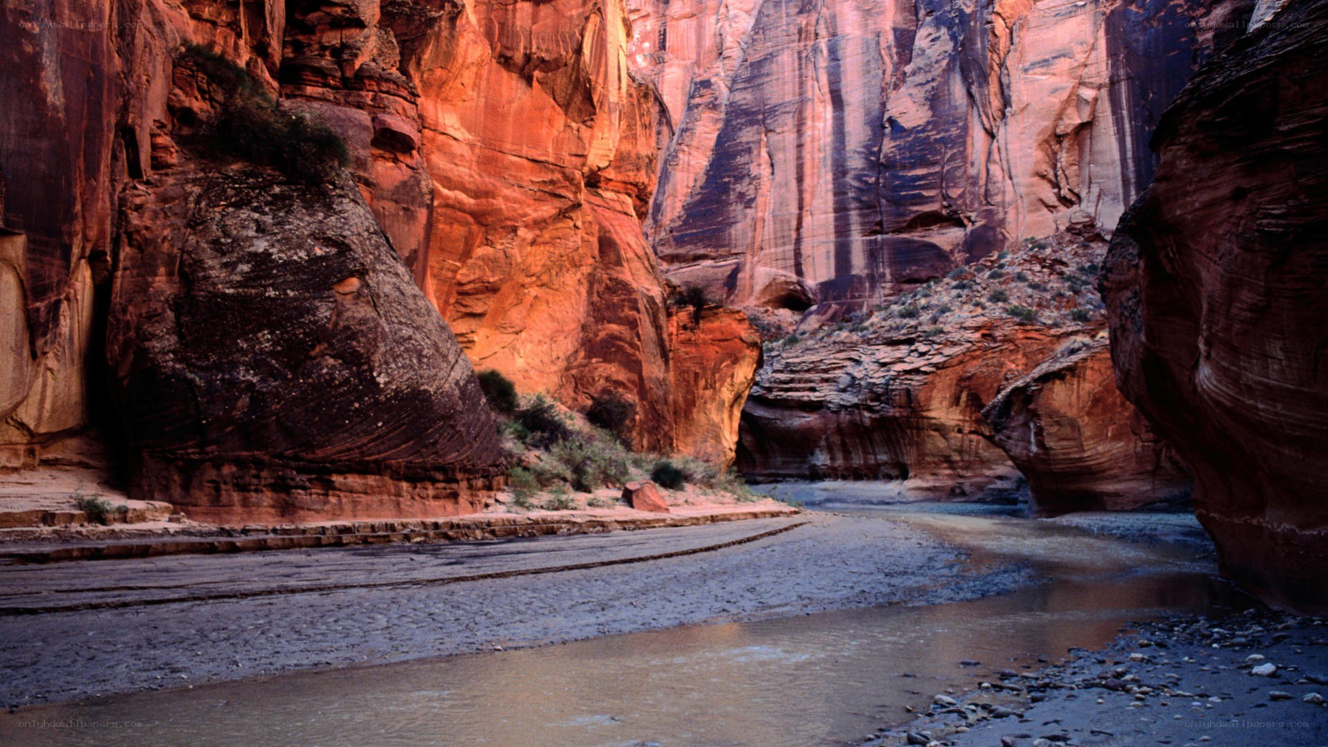 Red rock canyon with river