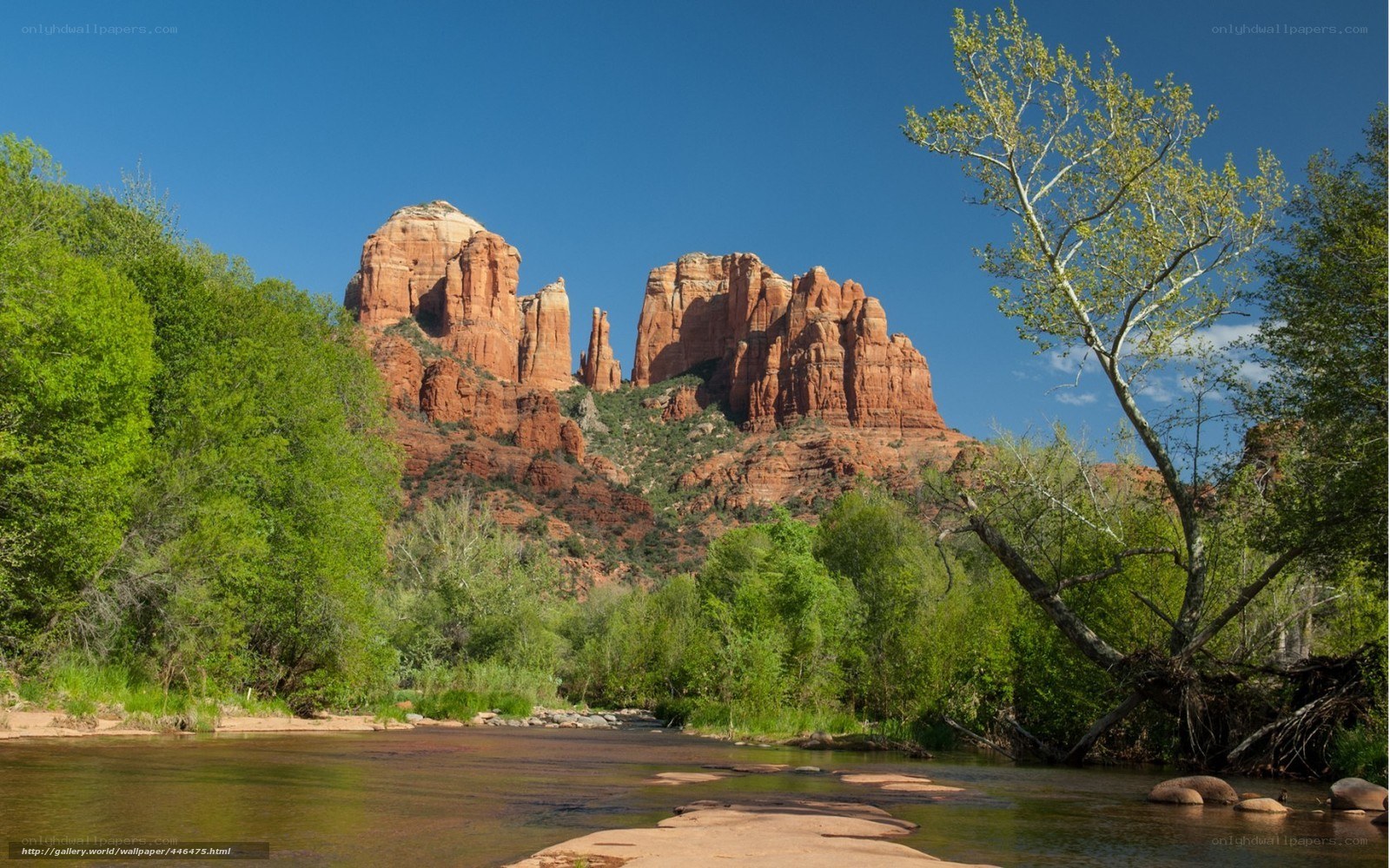 Red Rock Canyon with River