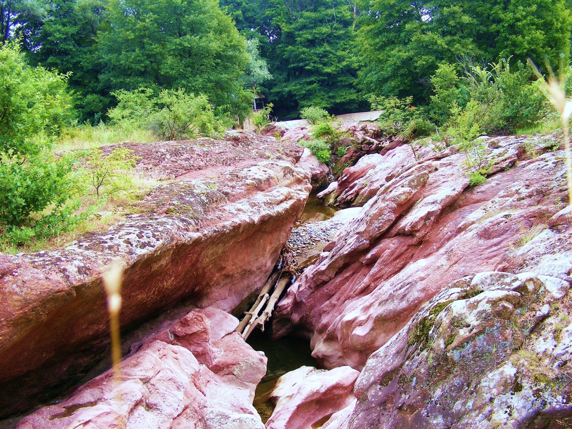 Red rock canyon with stream