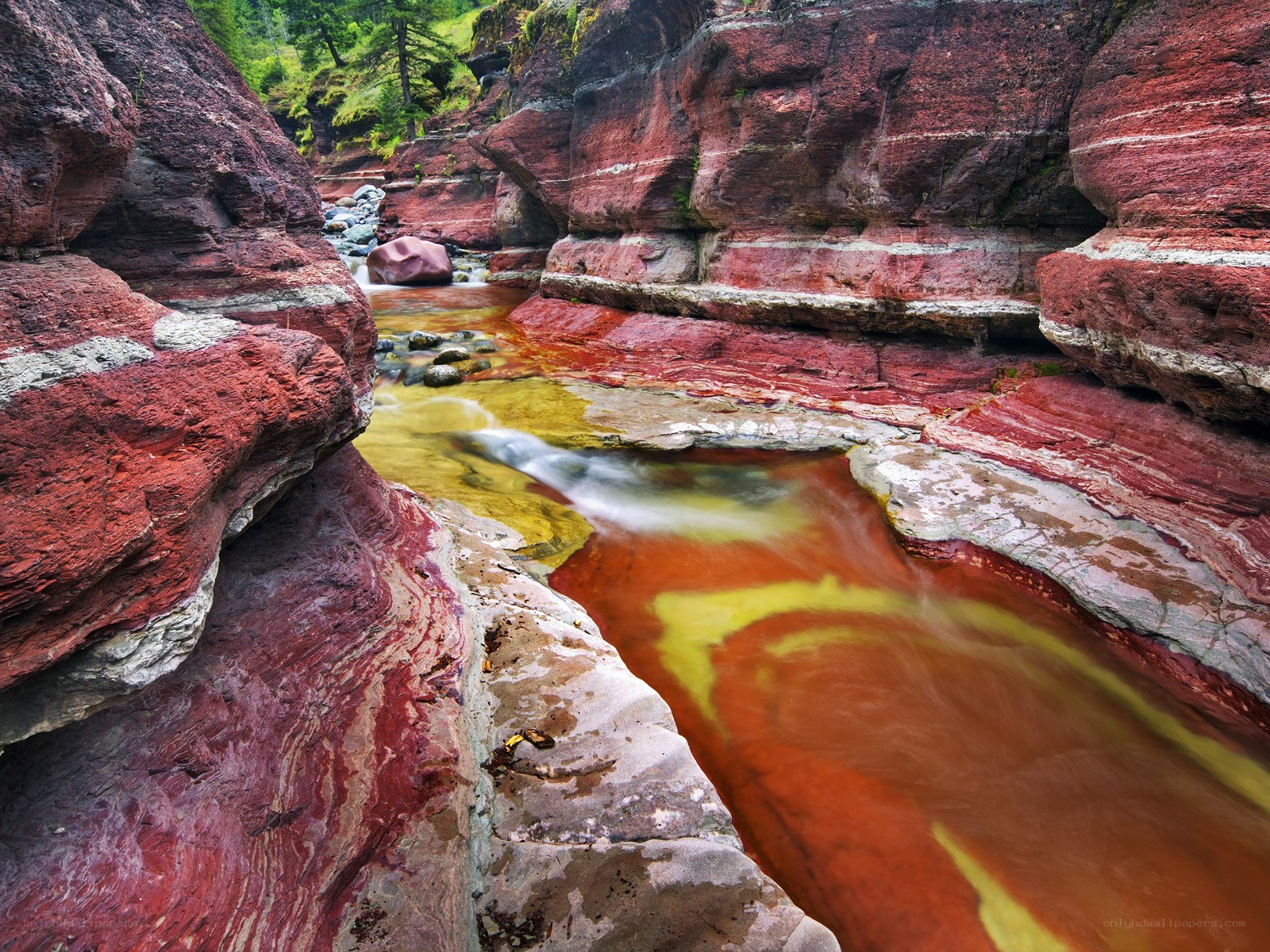 Red Rock Canyon with Stream
