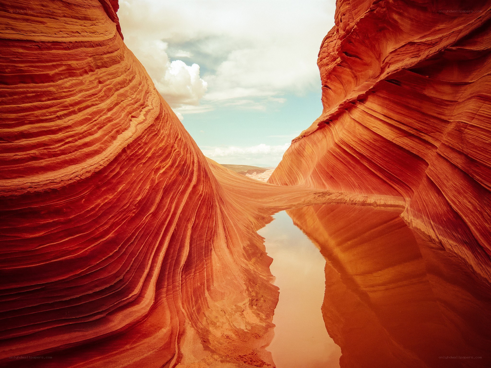 Red rock canyon with water reflection
