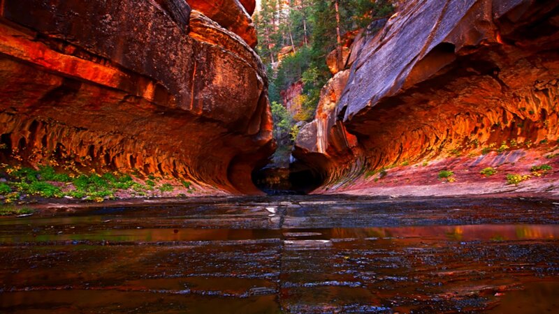 Red rock canyon with water