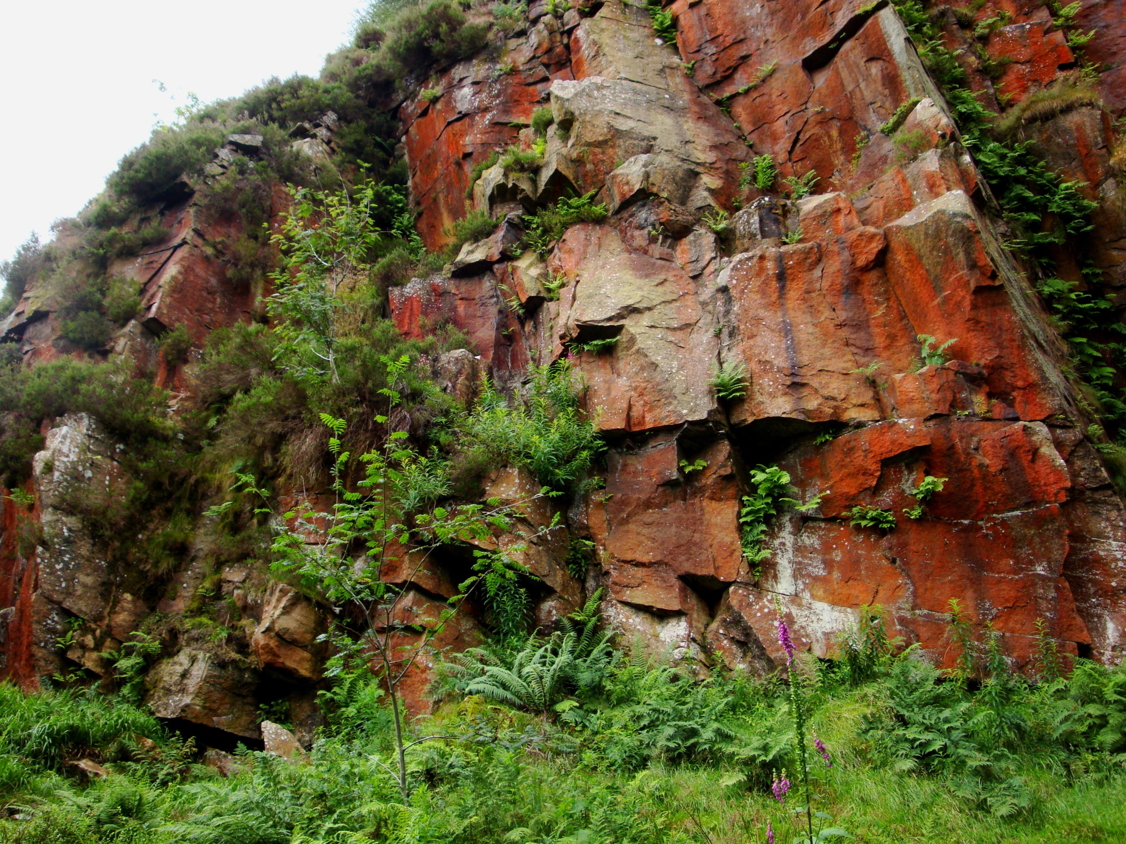 Red rock cliff with greenery