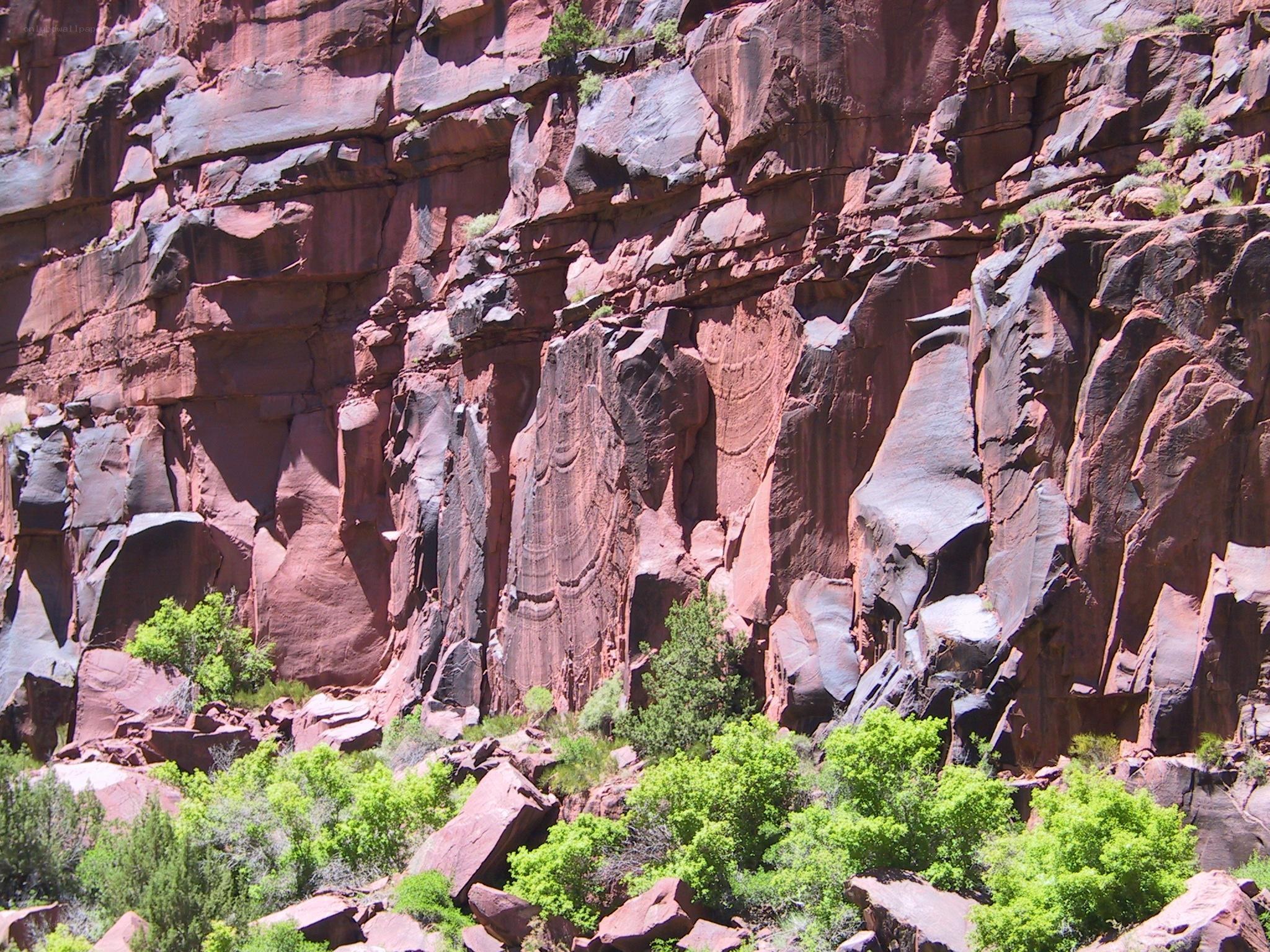 Red rock cliff with petroglyphs