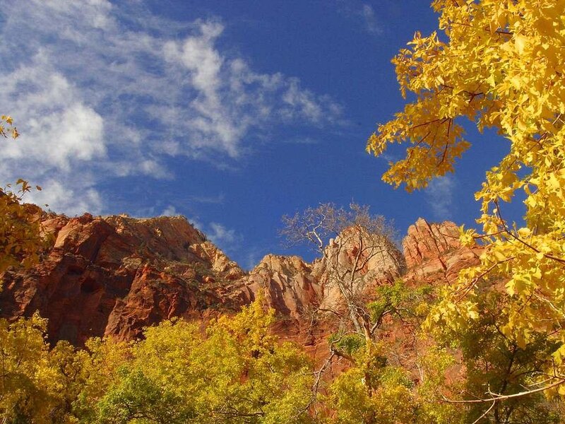 Red Rock Cliffs and Autumn Trees