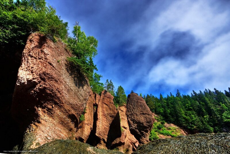 Red rock cliffs and forest