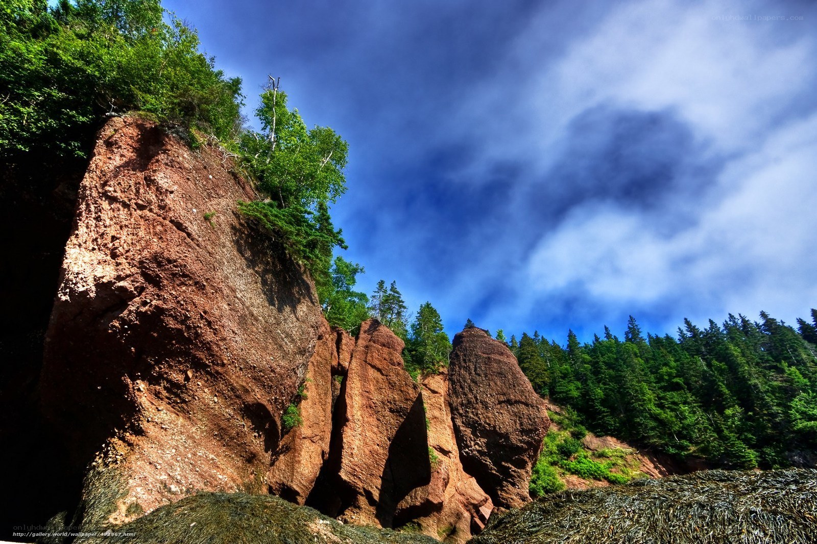 Red rock cliffs and forest