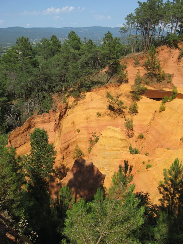 Red rock cliffs with pine trees