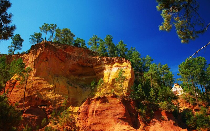 Red Rock Cliffs with Trees