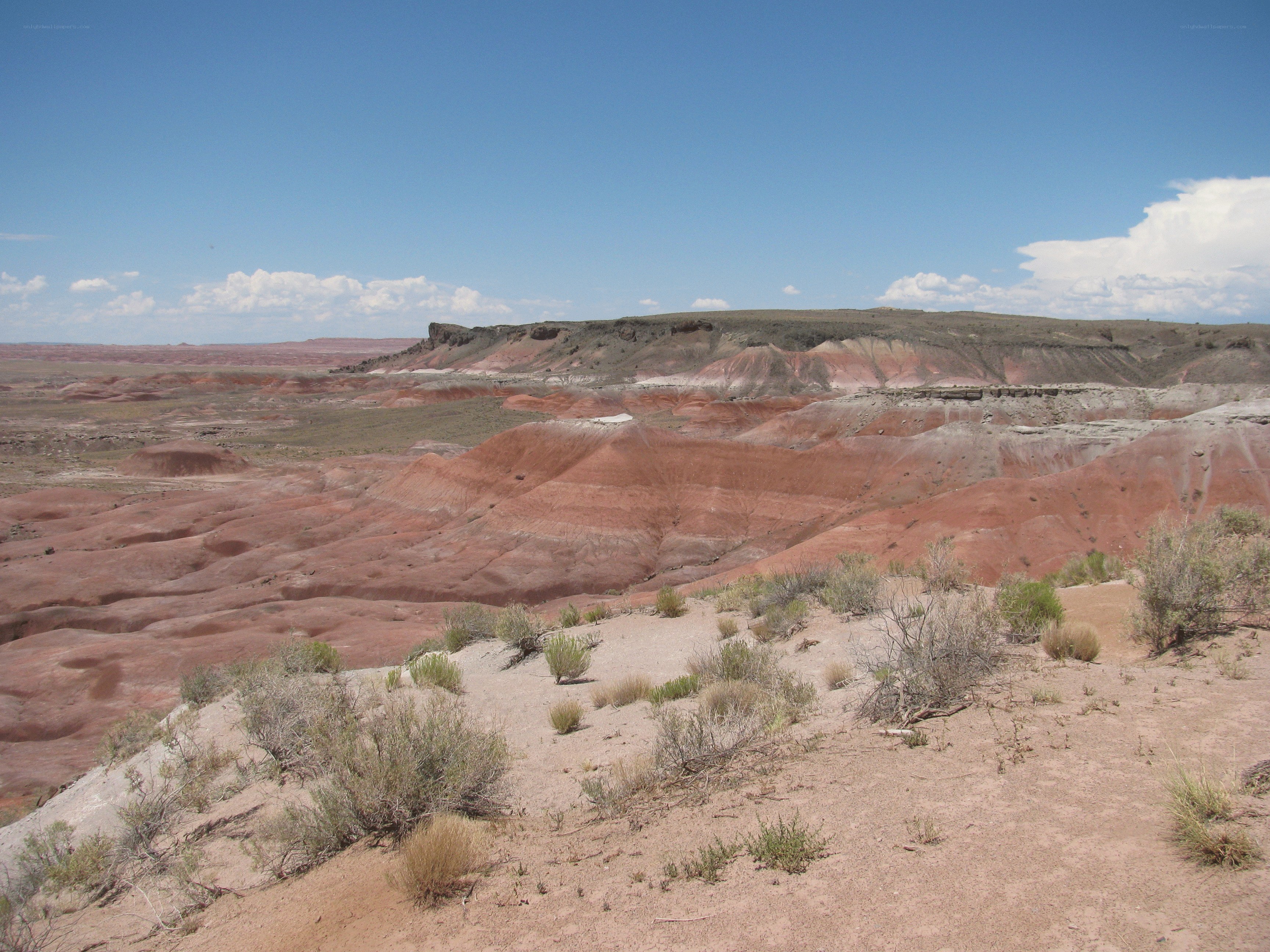 red rock desert landscape