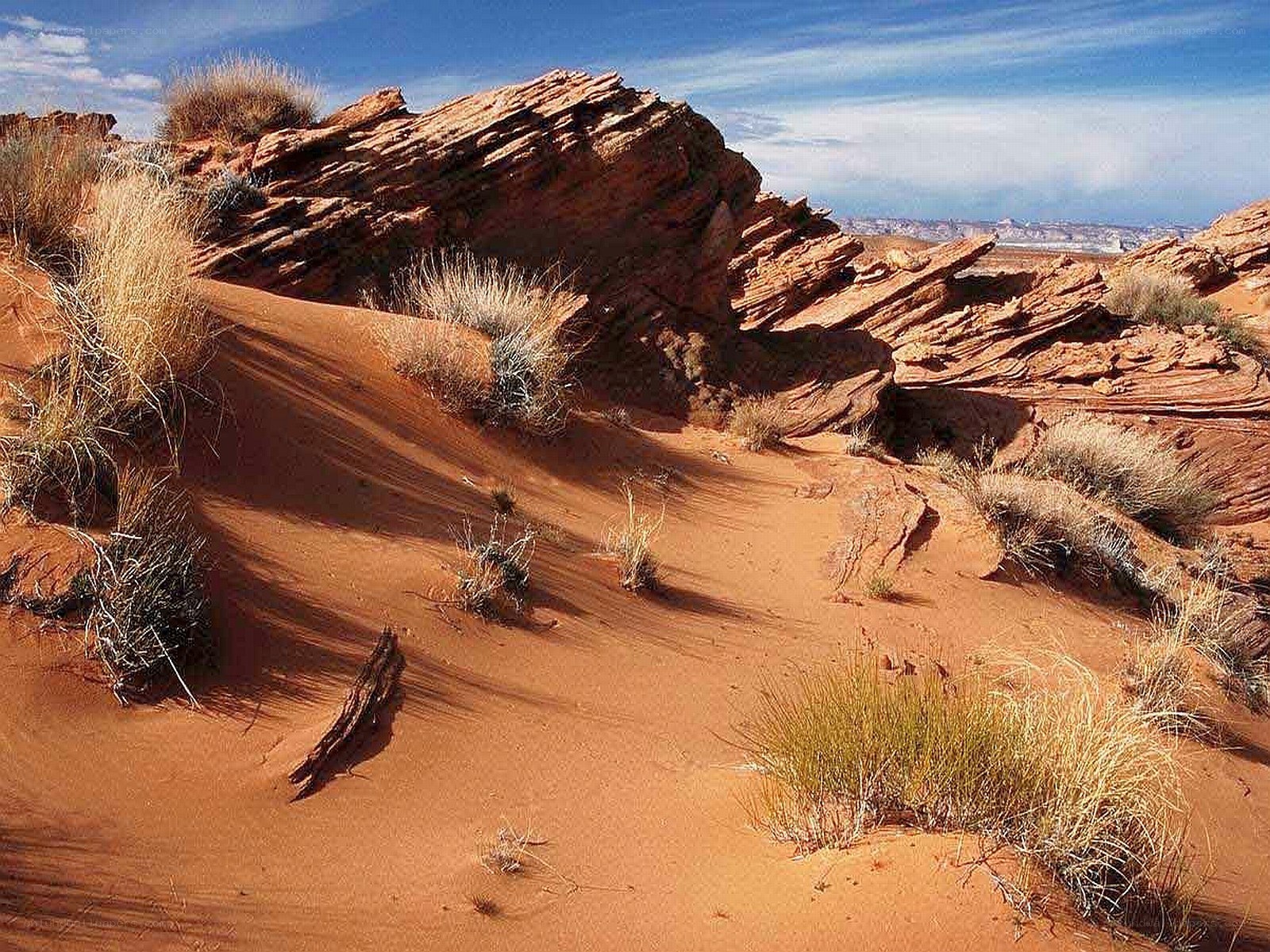 Red rock desert landscape