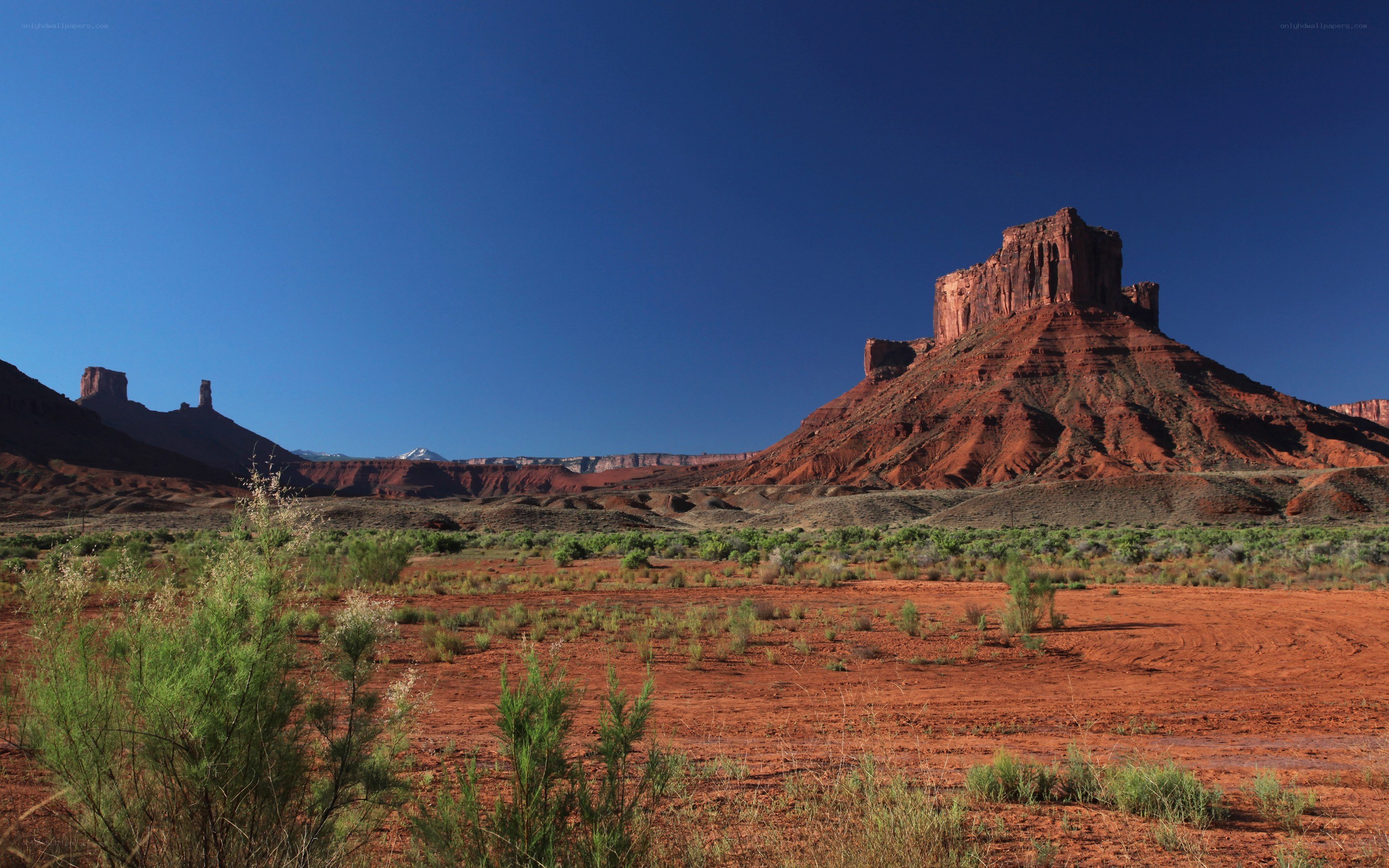 Red rock desert landscape