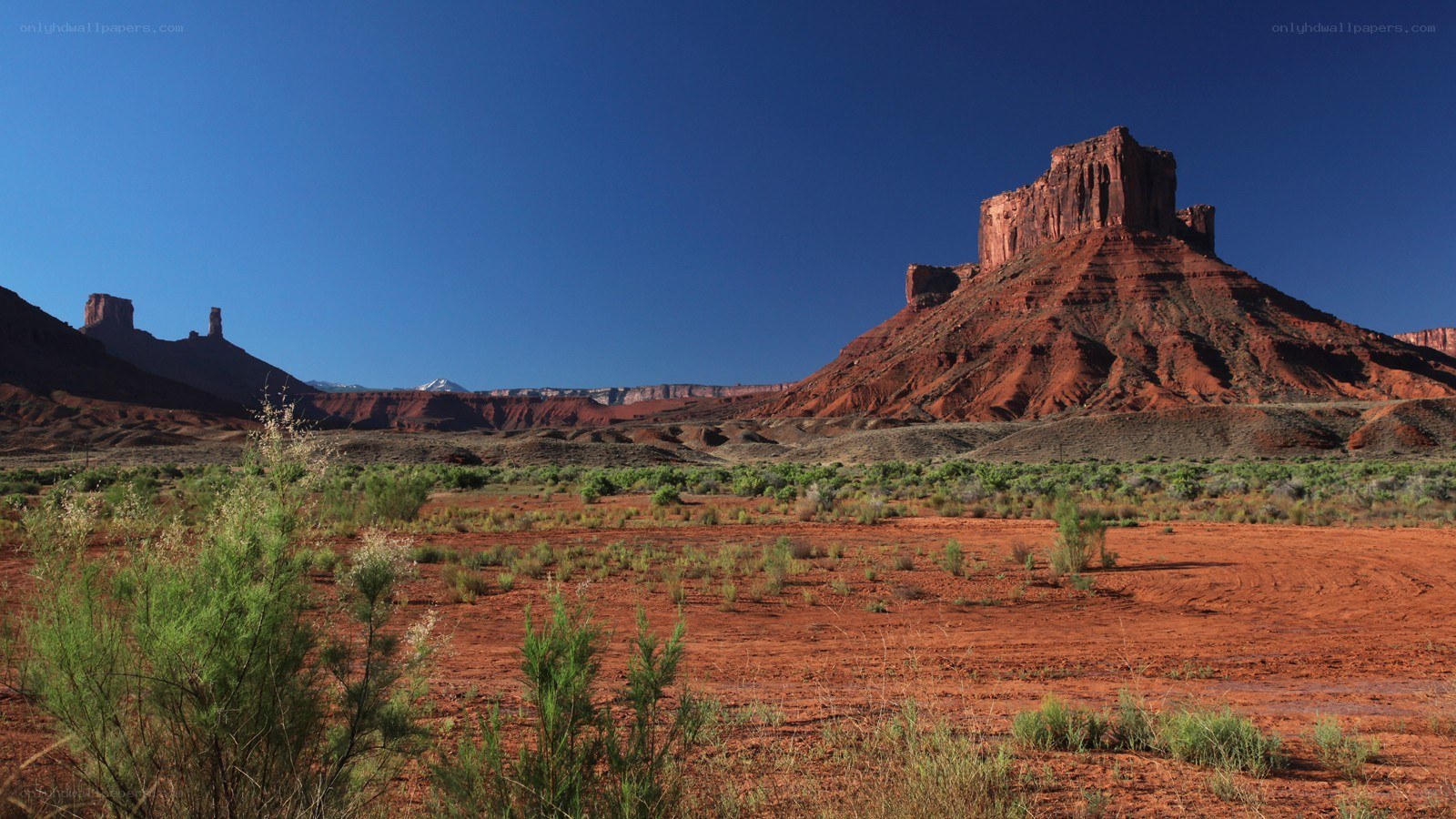 Red rock desert landscape