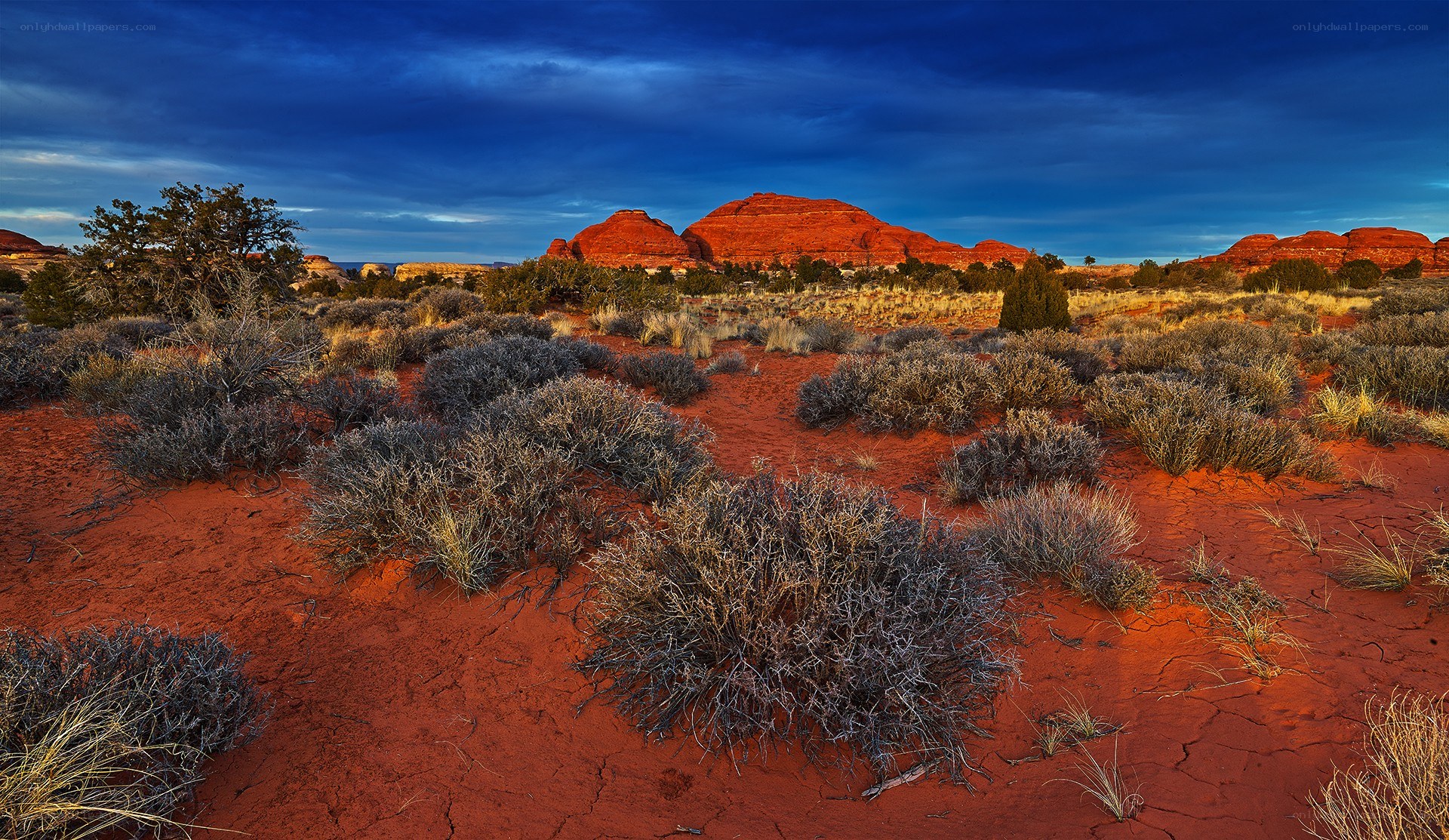 Red rock desert landscape