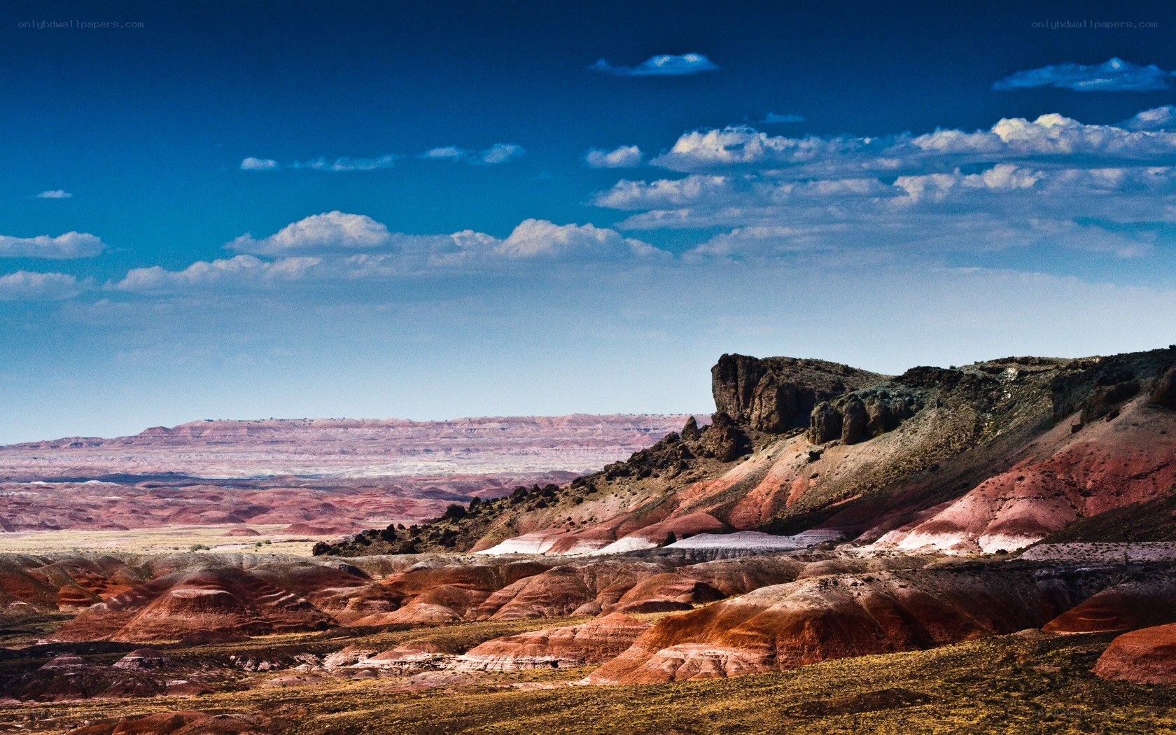 Red rock desert landscape