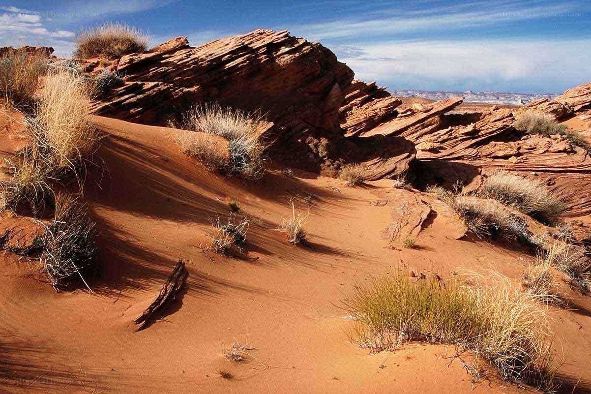 Red rock desert landscape