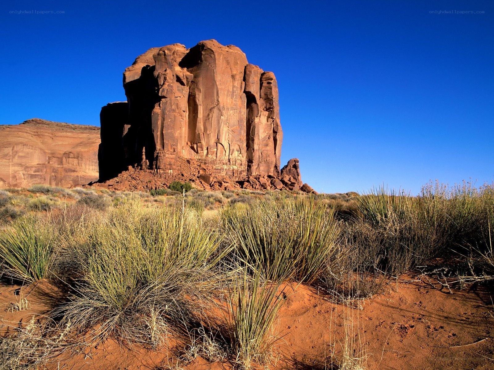Red rock formation in desert
