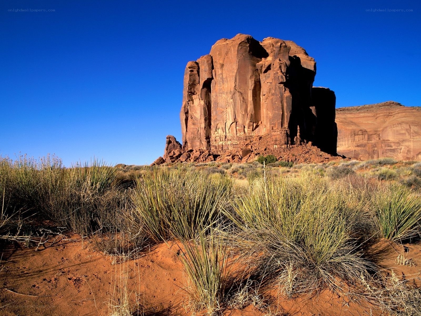Red rock formation in desert