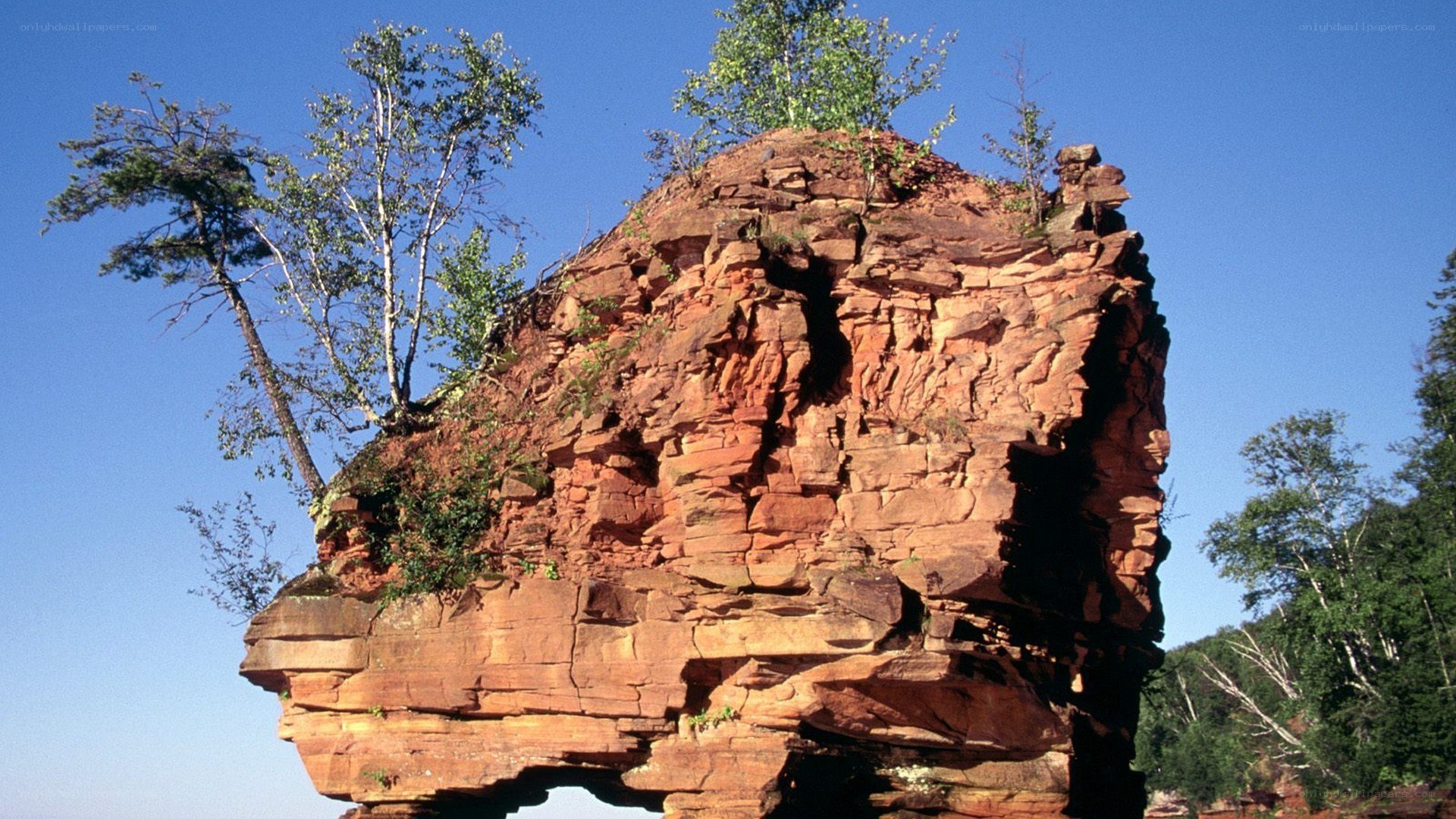 Red rock formation with trees