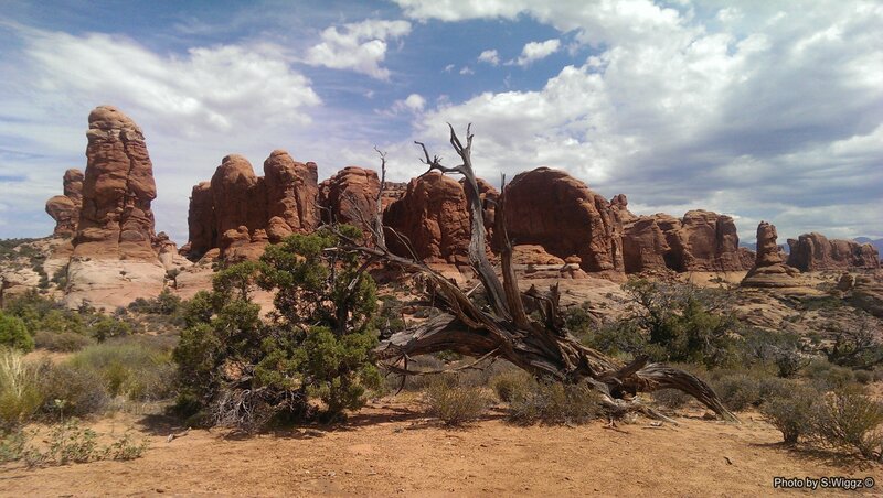Red Rock Formations — Arid, Afternoon, Photograph, Dead Tree