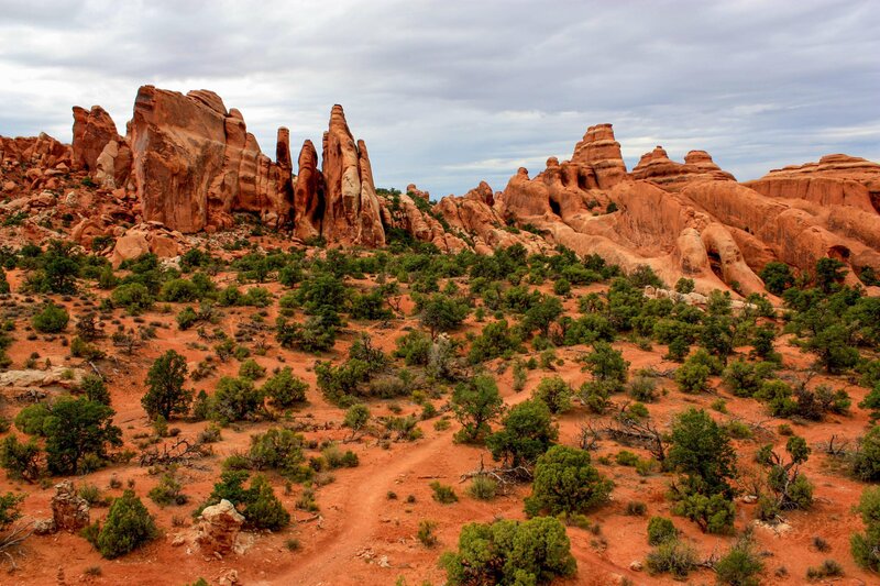 Red Rock Formations — Arid, Afternoon, Photograph, Desert, Trees, Sky
