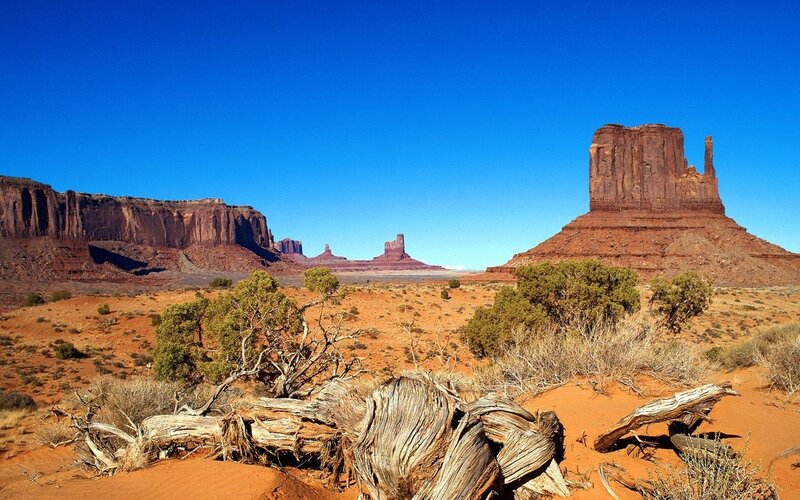 Red Rock Formations — Blue, Arid, Afternoon, Photograph, Desert, Trees