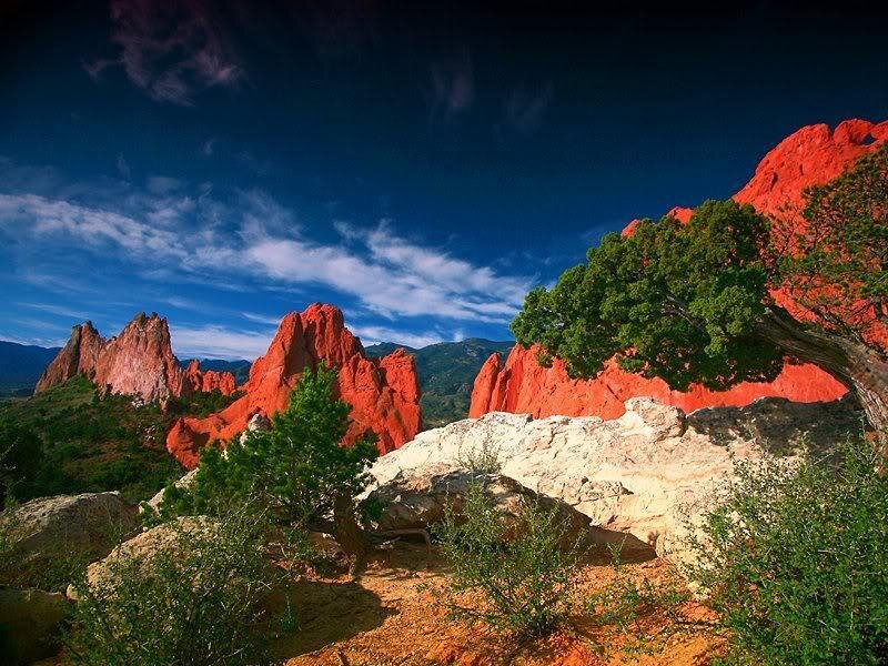 Red Rock Formations — Dramatic, Afternoon, Photograph, Trees, Rocks