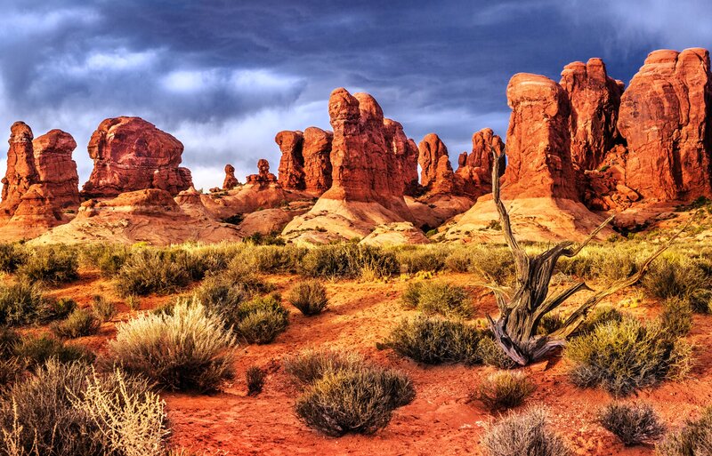 Red Rock Formations — Dramatic, Sunset, Photograph, Desert, Sky, Shrub