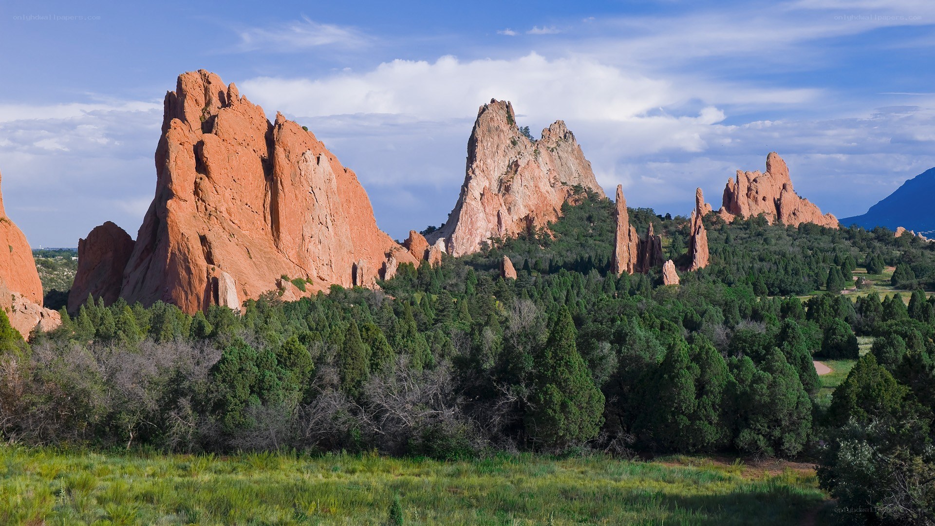Red rock formations in a forest