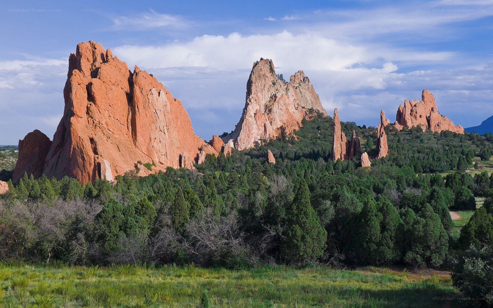 Red rock formations in a forest