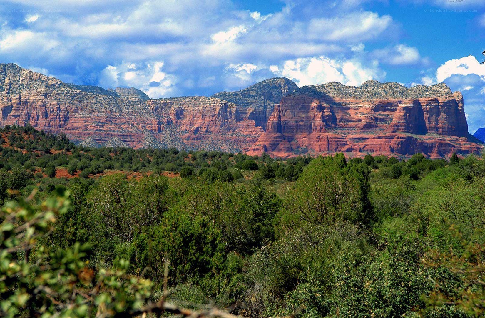 Red rock formations in Arizona